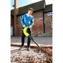 Ryobi RBV3000CESV Aspirador, Soplador y Triturador de 3000W